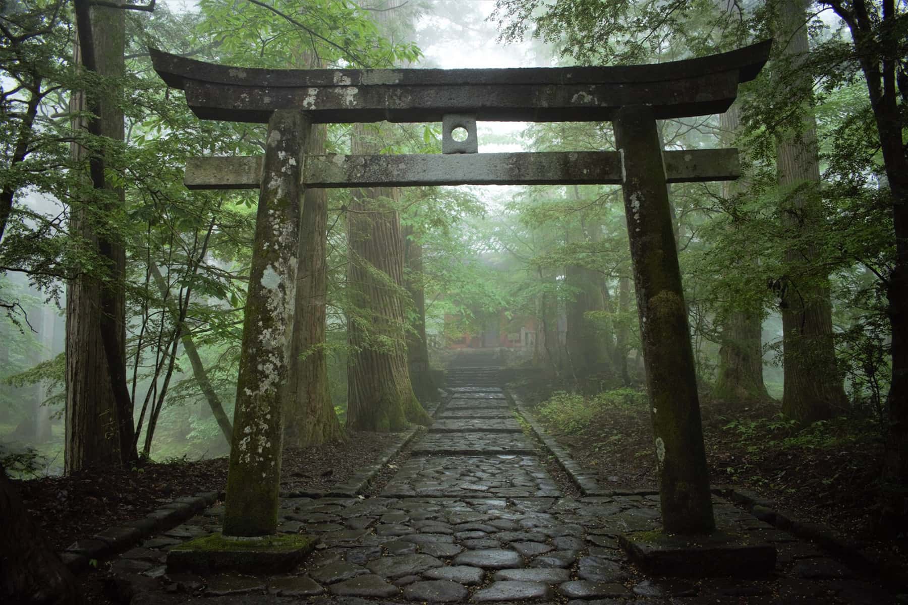 A moss-covered stone torii gate on a misty forest path in Japan